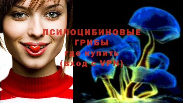 прущие грибы Краснослободск