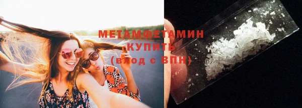 прущие грибы Краснослободск