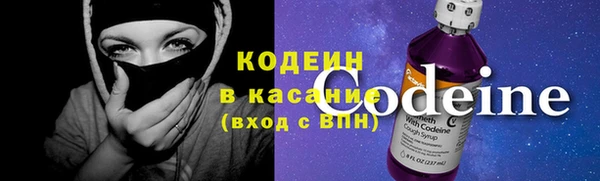 прущие грибы Краснослободск