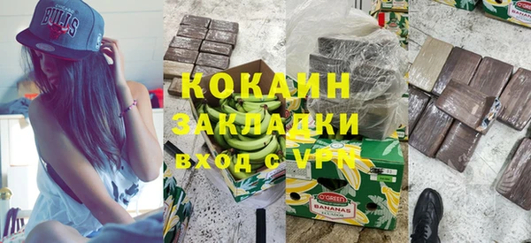 прущие грибы Краснослободск