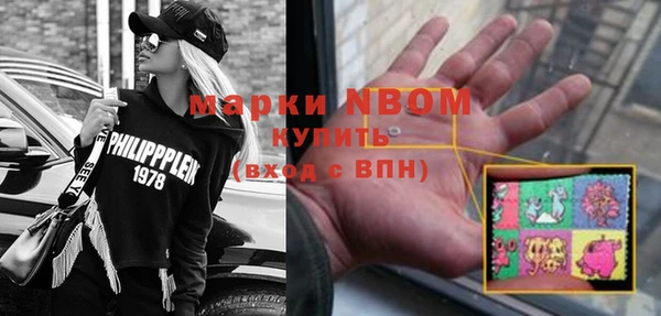 прущие грибы Краснослободск