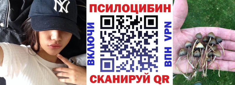 Галлюциногенные грибы мицелий Купить закладки Киров